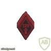 French 129th Infantry Regiment arm patch