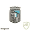 FRANCE 128th Infantry Fortification Regiment pocket badge