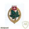 FRANCE 123rd Infantry Regiment pocket badge