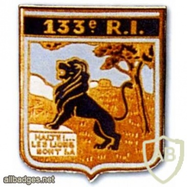 FRANCE 133rd Infantry Regiment pocket badge img25241