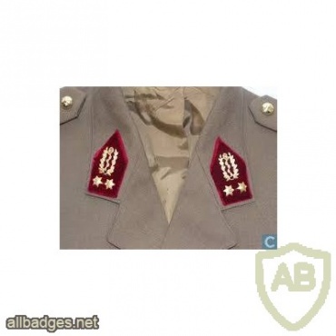 Belgium Army Medical Service collar badge, old type img25320