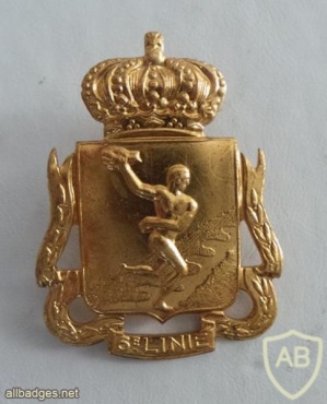 6th line infantry cap badge, gold img25317