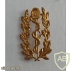Belgium Army Medical Service collar badge, old type
