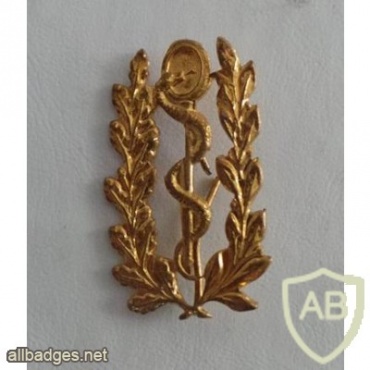 Belgium Army Medical Service collar badge, old type img25319
