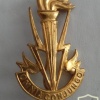 Transmission troops cap badge