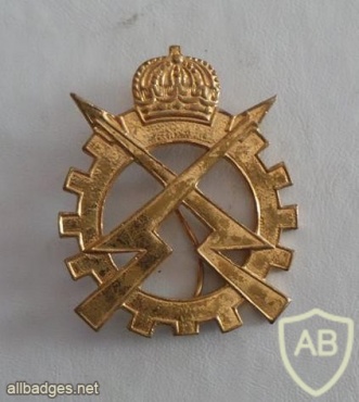 REM Ordnance cap badge img25406