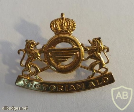 Royal Army Service Corps (RASC) cap badge, old img25407