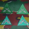 Commando B brevet (sleeve badge), green img25386
