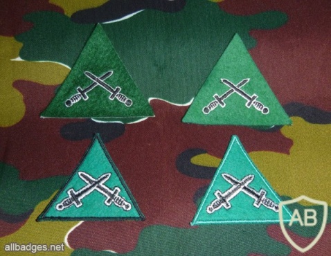 Commando B brevet (sleeve badge), green img25386