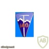 FRANCE 140th Alpine Infantry Regiment pocket badge img25450