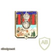 FRANCE 141st Infantry Divisional Regiment pocket badge