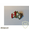 דגל ישראל ודגל קנדה