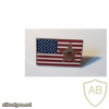 Secret service - Symbol and US flag pin