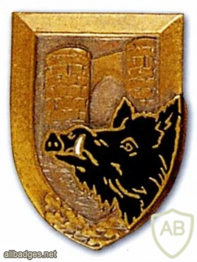 FRANCE 147th Infantry Fortress Regiment pocket badge img25502
