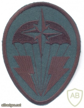 Ukrainian Special Forces Airborne Reconnaissance Unit sleeve patch, para img25514