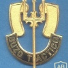 CHILE Navy Tactical Diver qualification badge, type 2