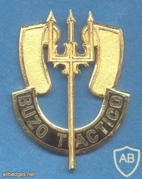 CHILE Navy Tactical Diver qualification badge, type 2 img25599