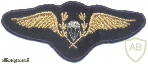 CHILE Air Force Parachute wings, cloth, 1980s, full size img25595