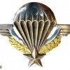 French basic paratrooper wings
