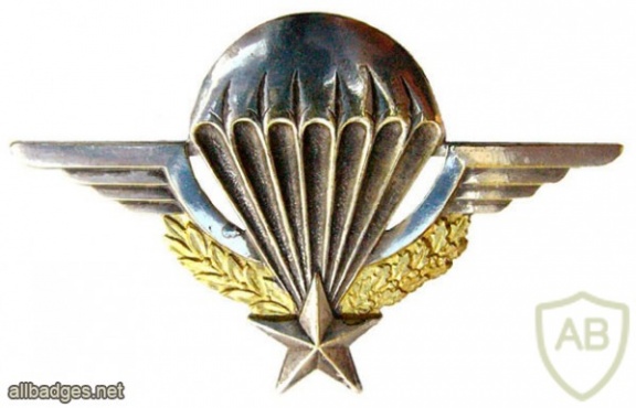 French basic paratrooper wings img25626