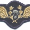 CHILE Air Force Parachute wings, cloth, 1980s, mess dress