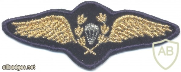 CHILE Air Force Parachute wings, cloth, 1980s, mess dress img25596