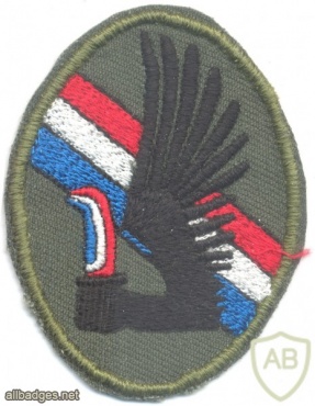 CHILE 12 Commando Company, Special Operations Brigade "Lautaro" sleeve patch img25597