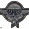 French basic paratrooper wings, old