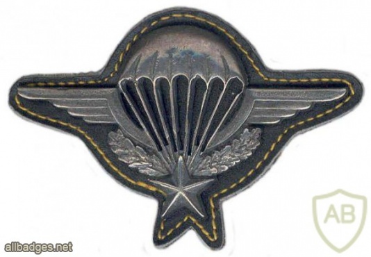French basic paratrooper wings, old img25627