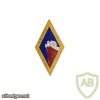 FRANCE 173rd Infantry Regiment, 3rd Battalion pocket badge