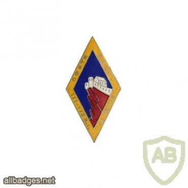 FRANCE 173rd Infantry Regiment, 3rd Battalion pocket badge img25659