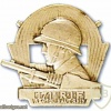 FRANCE 171st Infantry Fortress Regiment pocket badge img25655