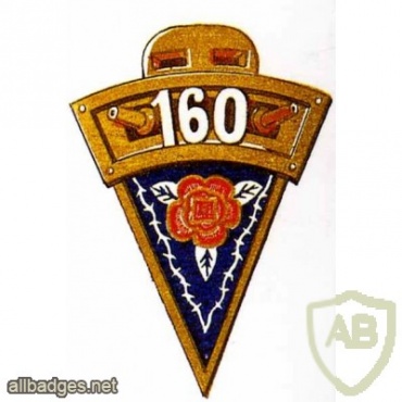 FRANCE 160th Infantry Fortress Regiment pocket badge img25644
