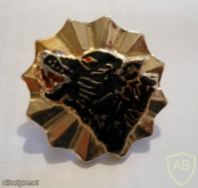 Macedonia Army Special Forces Battalion "Wolves" beret badge, type- 2 img25776
