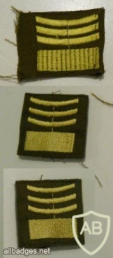 Macedonian Army Captain rank, chest, field uniform img25771