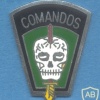 BRAZIL Army Commando qualification badge