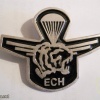 Unit Wolves chest badge for formal uniform1, 1st version 1999-2005
