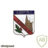 FRANCE 226th Infantry Regiment pocket badge