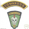 BRAZIL Army Commando patch