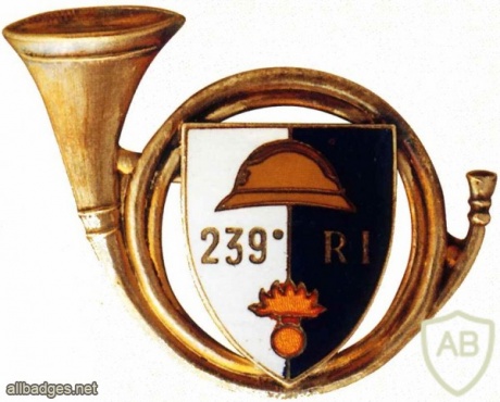 FRANCE 239th Infantry Regiment pocket badge img25784