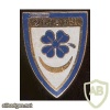 FRANCE 260th Infantry Regiment pocket badge