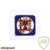 FRANCE 238th Infantry Regiment pocket badge img25783