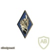 FRANCE 373rd Infantry Regiment pocket badge