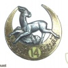 French Army 14th Algerian Tirailleurs Regiment pocket badge