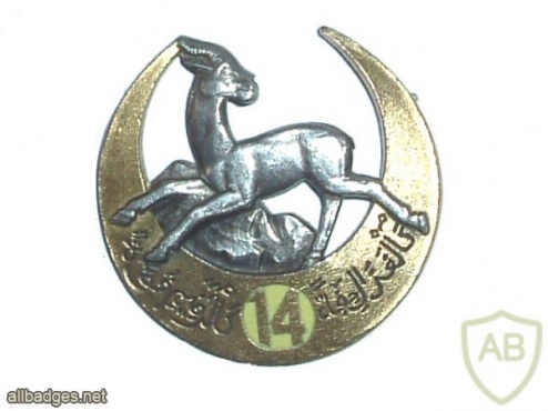French Army 14th Algerian Tirailleurs Regiment pocket badge img25836