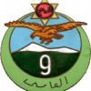French Army 9th Algerian Tirailleurs Regiment pocket badge