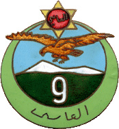 French Army 9th Algerian Tirailleurs Regiment pocket badge img25833