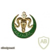 French Army 7th Algerian Tirailleurs Regiment pocket badge, type 3