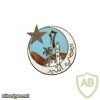 French Army 17th Algerian Tirailleurs Regiment pocket badge