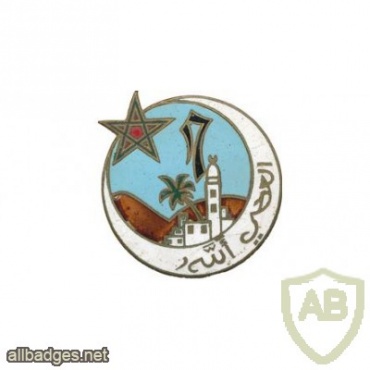 French Army 17th Algerian Tirailleurs Regiment pocket badge img25838